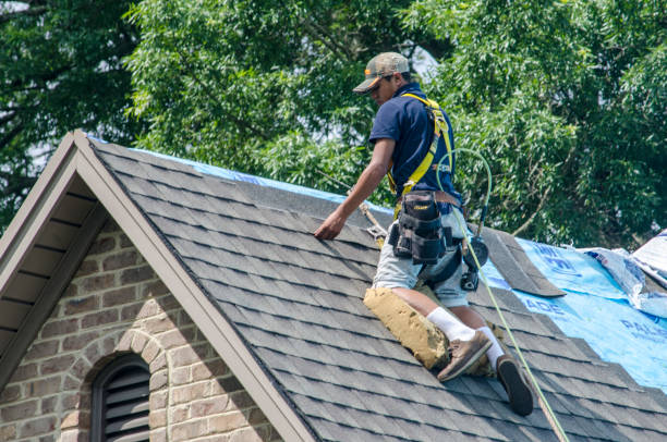 Roof Gutter Cleaning in Upper Sandusky, OH